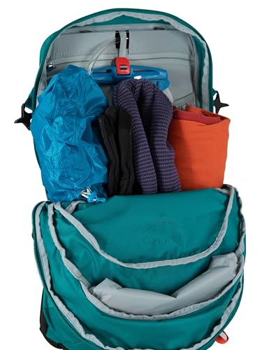 Osprey Hikelite Unisex Backpack, 18L, Pine Leaf Green, O/S