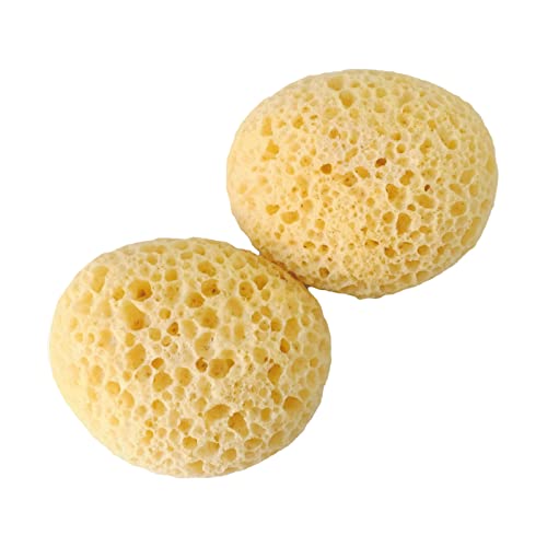 2 Pack Texture Sponge - Drywall Wall Patch & Ceiling Repair, Home Decor Sponge for DIY Painting, Popcorn Ceiling Texture, Sea Sponge Painting Sponges