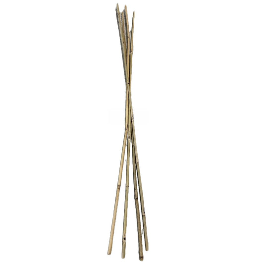 Farm Plastic Supply - Bamboo Garden Stakes - Bambo Sticks, Bamboo Plant Stakes for Outdoor Plants, Plant Support Stakes for Indoor Plants (7 Foot, 10)
