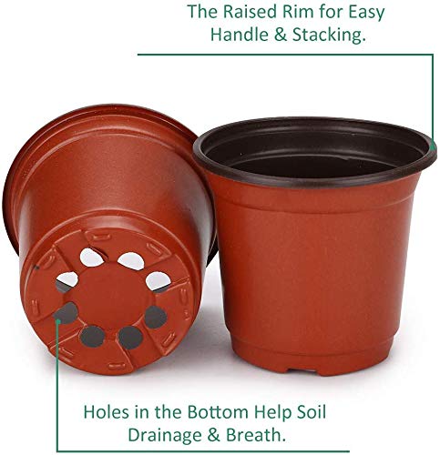 LATERN 50Pcs 15cm Plastic Plant Flower Pots Lightweight Seed Starting Pots Nursery Seedlings Pots Flower Plant Container (15 x 13cm)