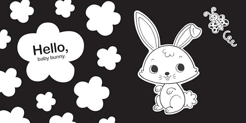 Hello, Baby Animals: A perfect book for parents and caregivers at home with babies this summer (High-Contrast Books)