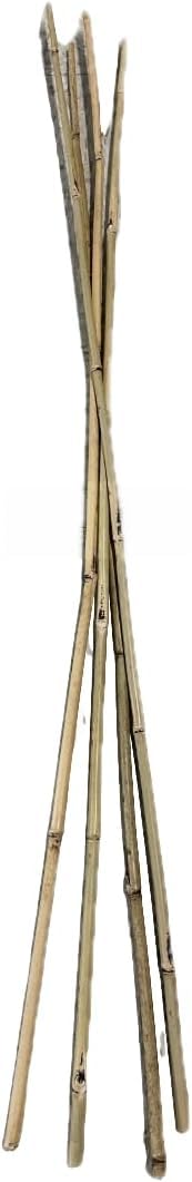 Farm Plastic Supply - Bamboo Garden Stakes - Bambo Sticks, Bamboo Plant Stakes for Outdoor Plants, Plant Support Stakes for Indoor Plants (4 Foot, 20)