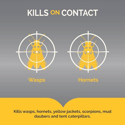 Hot Shot Wasp & Hornet Killer Spray, For Insects Eliminates the Nest, Sprays Up To 27 Feet, 14 fl Ounce, 2 Pack