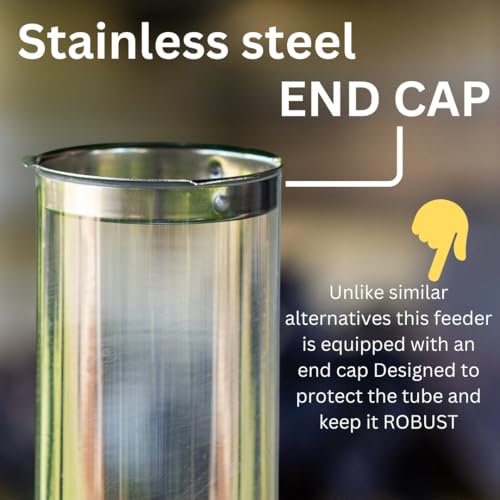 HEAVY DUTY stainless steel metal bird feeder, easy clean garden bird seed feeders hanging, bird feeders for small birds, bird feeders hanging for wild bird, hanging bird feeder for backyard BY PROVIDE