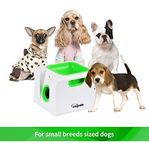 IDOGMATE Small Interactive Ball Launcher with Rechargeable, Automatic Dog Ball Thrower for Mini Dog (Small Machine with 3 Balls)
