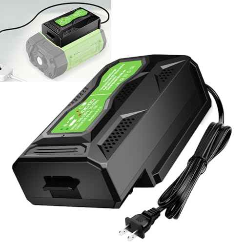 Mini Charger for EGO 56V Battery, Replacement Rapid Charger for EGO 56 Volt CH5500 CH2800D Fast Charging for BA2800 BA4200 BA1400 BA5600 Battery