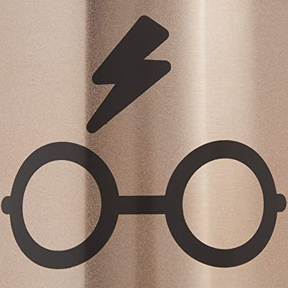 Spoontiques Harry Potter Glass Stainless Wine Tumbler