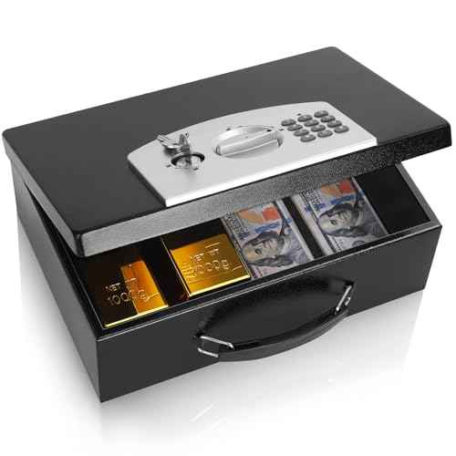 Dalmbox Portable Metal Safe Box with Digital Code Lock,Fire Resistant Storage for Documents, Fireproof Safe Box, Car, Home, Office and Outside, Black Box£¬ Medium