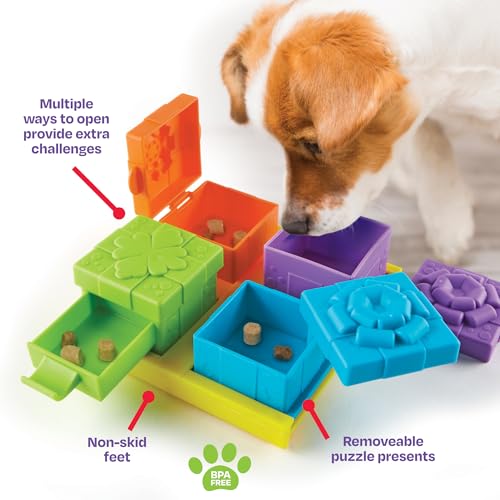 Brightkins Surprise Party Treat Puzzle - Enrichment Puzzls Toys for Dogs, Interactive Gifts for Puppies