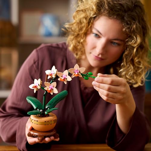 LEGO Botanicals Mini Orchid - Artificial Flowers Set for Adults - Indoor Plant with Terracotta Style Flowerpot - Home Decor Gift for Women and Men - 10343
