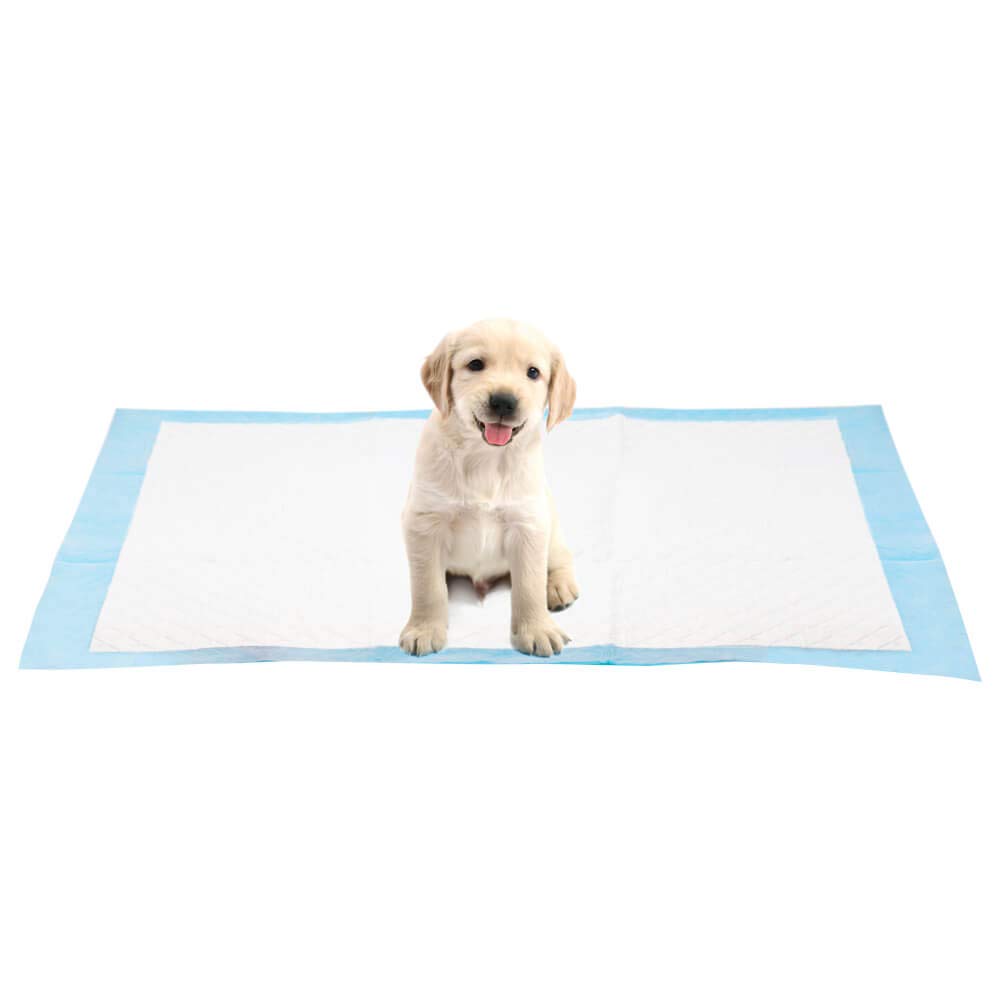 AllPetSolutions Puppy Pads - Disposable Puppy Training Pads Dog Toilet Sheets with 5 Highly Absorbent Layers & Odour Control Leak-Proof Non Slip Matting for Pet Wee - Extra Large, 60x90cm - 100-Pack