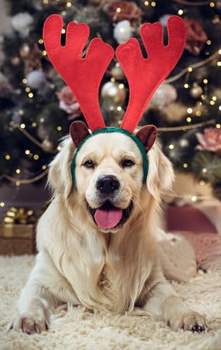 BWOGUE Dog Christmas Elk Reindeer Antlers Headbands Set Pet Christmas Costume Accessories Headwear for Medium Large Dogs