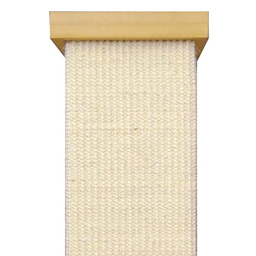 Smart Cat The Ultimate Scratching Post