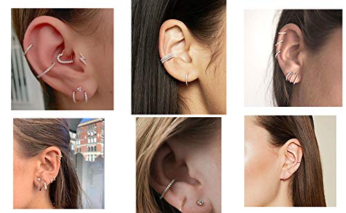 OUFER 18G 20G Nose Ring Hoops Hinged Seamless Segment Helix Piercings Nostril Clicker 316L Stainless Steel CZ Line Daith Tragus Cartilage Earring Jewellery