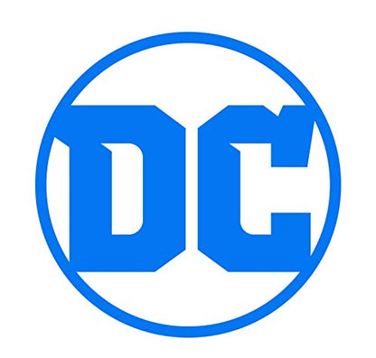 DC Comics Superheroes: The Flash Costume for Kids by Rubies, Boy's Small