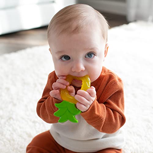 Dr. Brown's AquaCool Water-Filled Baby Teether, Cools & Massages Sore Gums, BPA Free, Pineapple and Apple, 2 Pack, 3m+