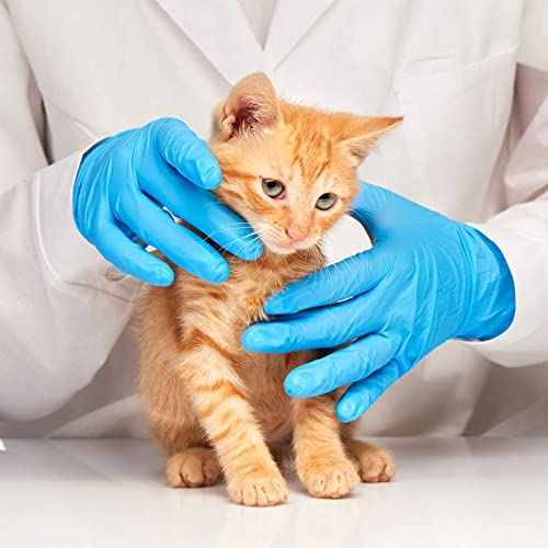 Jointown Basic Medical Blue Nitrile Exam Gloves - Latex-Free & Powder-Free - NGPF7001(Case of 1,000), Small