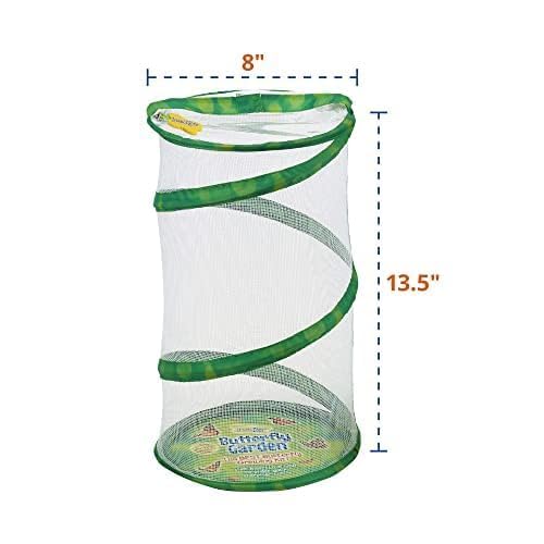 Insect Lore Butterfly Garden 8" Habitat Gift Set with 10 Live Baby Painted Lady Caterpillars - Includes Baby Caterpillars, Raising Supplies, 3D Butterfly Stickers and Butterfly Wind-up Toy