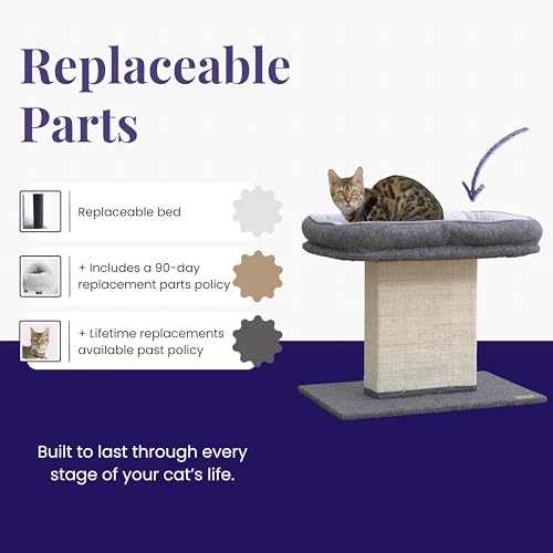 Catry Mellow 2-Level 19" Cat Tree with Large Washable Replaceable Bed, Big Sisal Post, Quick Assembly, Built to Last, Ideal for Small to Large Cats, Grey