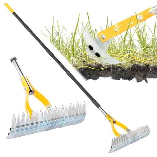 Thatch Rake for Lawn with 74inch Handle, 15 inch Dethatcher Rake for Grass to Cleaning Dead Grass, Efficient Steel Metal Rake for Dethatching, Heavy Duty Thatching Rakes for Garden, Yard