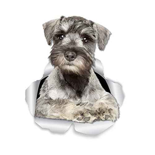 Winston & Bear 3D Curious Schnauzer Wall Decals - Miniature Schnauzer Dog Sticker for Fridge, Door, Car Window and Bumper - Retail Packaged Dog Lover Gift - 2 Pack
