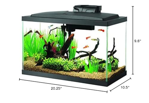 Aqueon Aquarium Fish Tank Starter Kit with LED Lighting 10 Gallon Fish Tank