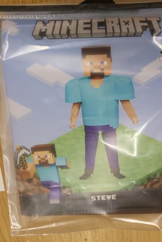 Steve Deluxe Minecraft Costume, Multicolor, Medium (7-8)