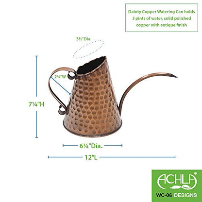 Achla Designs Dainty Hammered Copper Watering Can, 3 Pint