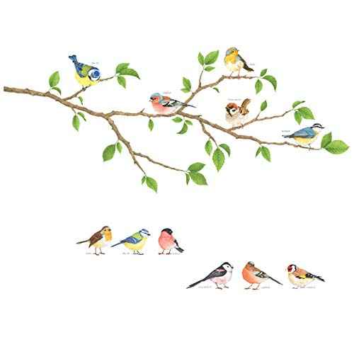 DECOWALL DS4-8036 Garden Birds Kids Wall Stickers Wall Decals Peel and Stick Removable Wall Stickers for Kids Nursery Bedroom Living Room (Small) Decor