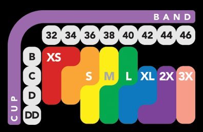 Bali womens Comfort Revolution Crop Top bras, 2 Pack - Nude/Light Beige Combo, Large US