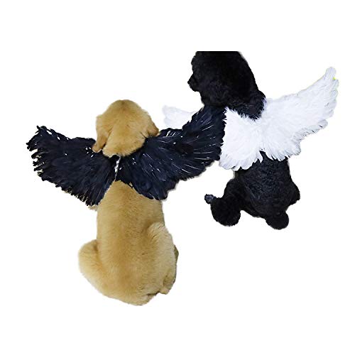 WeeH Pet Halloween Costume Cosplay Angel Devil Black White Wing for Dog Cat Rabbit Piggy - Funny Gift at Halloween Party Anime Theme Birthday Christmas (Black, Small)