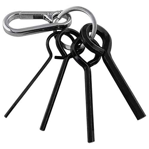 JianLing 1set Annular Allen Wrench Set Standard Dogging Key with Full Loop, Allen Wrench Door Key for Push Bar Panic Exit Devices (1pc 5/64 1pc 1/8 1pc 5/32 1pc 7/32 black circle and 1pc keychain)