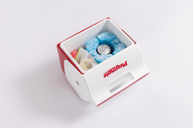 Igloo Maxcold Ice Blocks, Reusable Ice Packs for Coolers, Freezer Pack, Cold Packs for Coolers, Long Lasting Ice Blocks