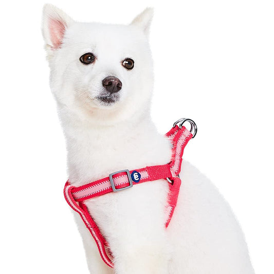 Blueberry Pet Essentials Step-in Reflective Back to Basics Dog Harness, French Pink, Chest Girth 16.5" - 21.5", Small, Adjustable Harnesses for Dogs
