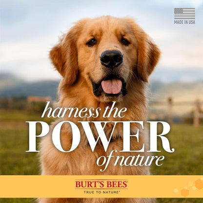 Burts Bees Tearless 2 in 1 Shampoo and Conditioner for Puppies with Buttermilk & Linseed Oil, 473ml, white