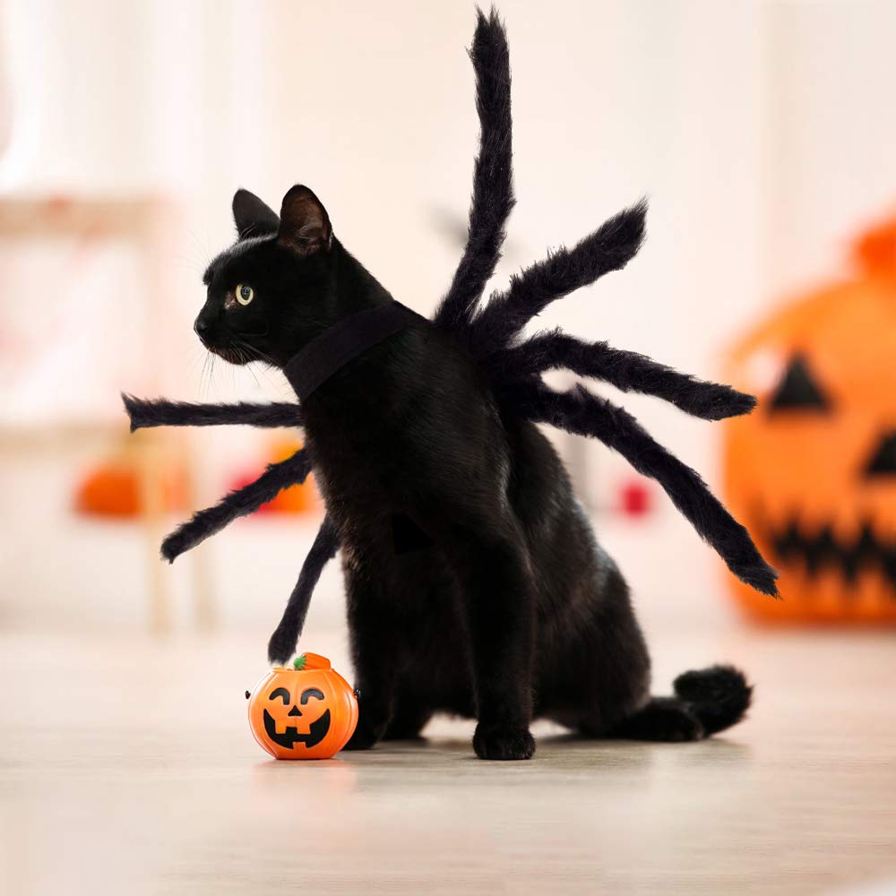 Halloween Spider Costume for Dog Cat, Halloween Pet Costume Halloween Decorations, Spider Decor Halloween Party Supply, Spider Cosplay Costumes with Adjustable Velcro for Small Medium Dogs and Cats