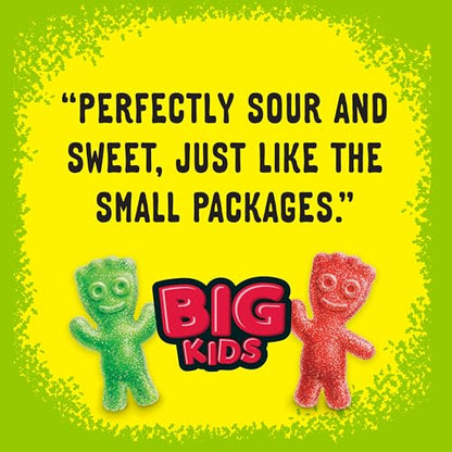 SOUR PATCH KIDS Big Kids Individually Wrapped Soft & Chewy Candy, Bulk Candy, 240 Count Box