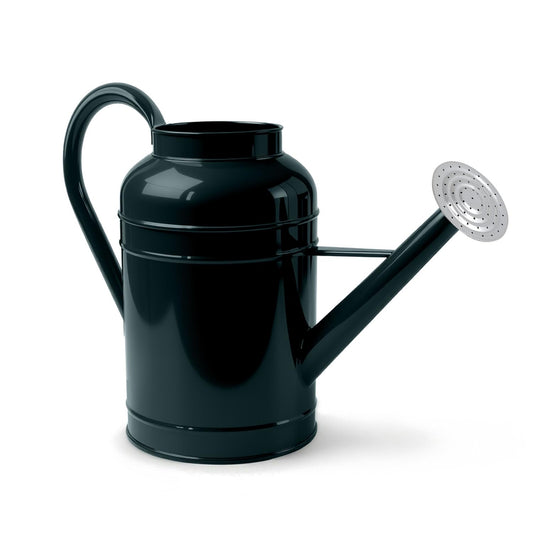 LONGRUN 2.3 Gallon Dark Green Metal Watering Can for Plants and Garden with Removable Spout, Made of Galvanized Iron