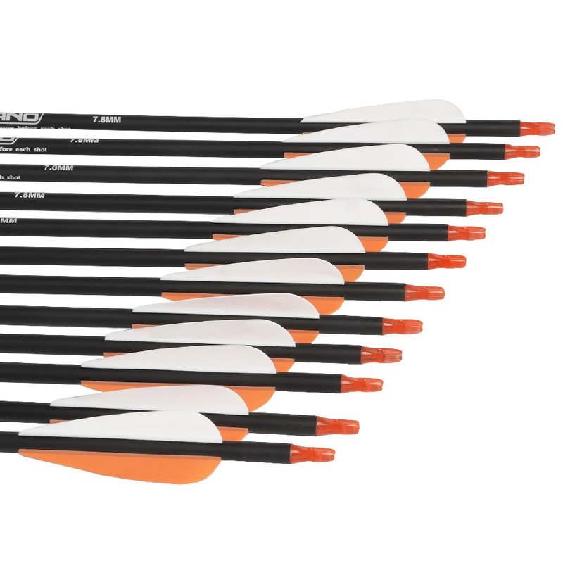 30Inch Carbon Arrow Practice Hunting Arrows Targeting with Removable Tips for Archery Compound & Recurve & Traditional Bow (Pack of 12)