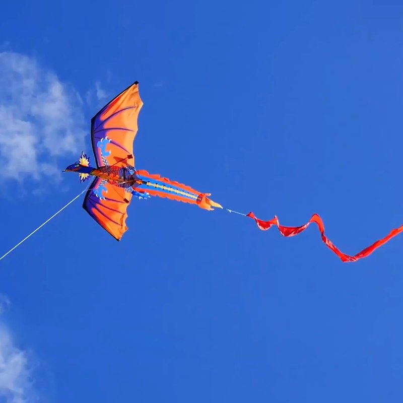 HENGDA KITE-Upgrade Classical Dragon Kite Stereoscopic Dragon Kites for Kids & Adults Easy to Fly for Beginner Easter 63inch Single Line with Tail