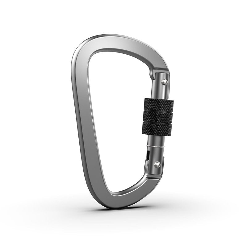 XIECHANEE Premium Aluminum D Ring 4" Locking Carabiner Clips with Screw Gate, Set of 4, Lightweight & Durable for Hiking, Camping, Hammock, Dog Leash Harness, Keychains