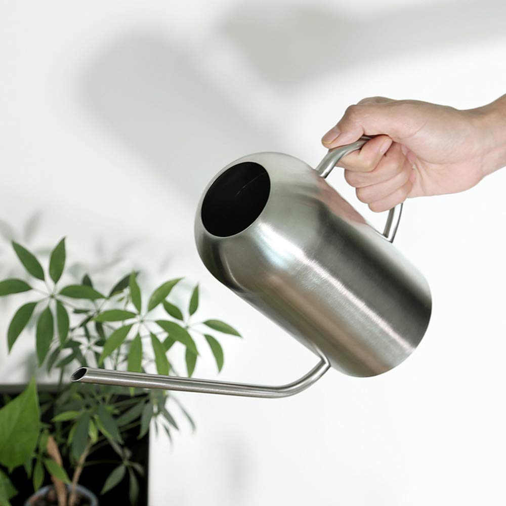Fasmov Stainless Steel Watering Can with Long Spout Modern Style Watering Pot, 53oz/1.5L