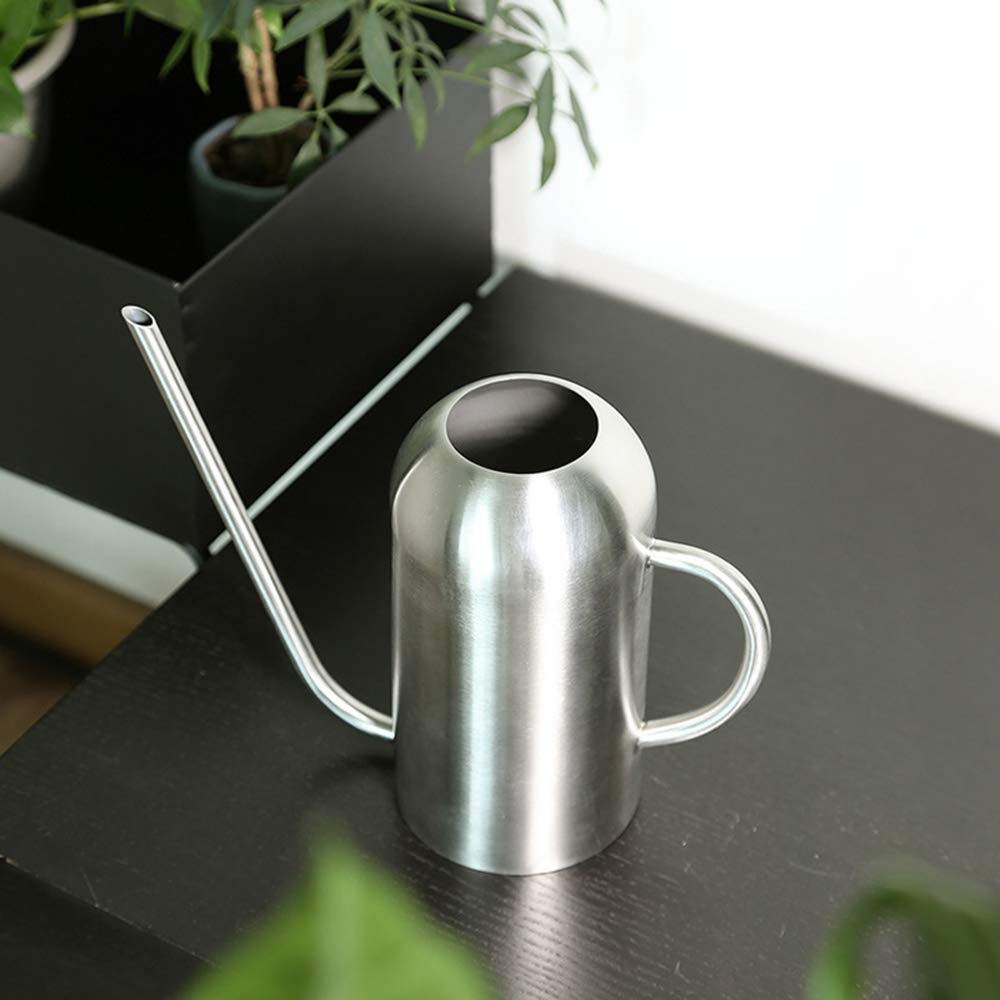 Fasmov Stainless Steel Watering Can with Long Spout Modern Style Watering Pot, 53oz/1.5L