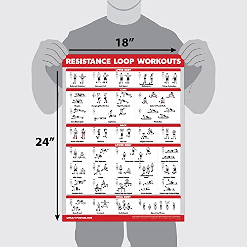 QUICKFIT 2 Pack - Resistance Bands and Loops Workout Posters - Set of 2 Laminated Charts - Band Tubes and Loops Exercise Charts (Laminated, 18" x 24")