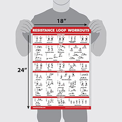 QUICKFIT 2 Pack - Resistance Bands and Loops Workout Posters - Set of 2 Laminated Charts - Band Tubes and Loops Exercise Charts (Laminated, 18" x 24")