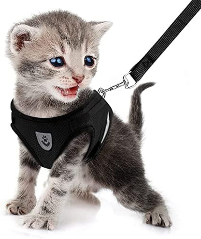 FEimaX Dog Harness and Leash Set for Walking, Soft Mesh Adjustable Easy Control Lightweight Cat Vest Harnesses with Reflective Strips, Escape Proof Small Dogs Cats Vests (Black, X-Small)