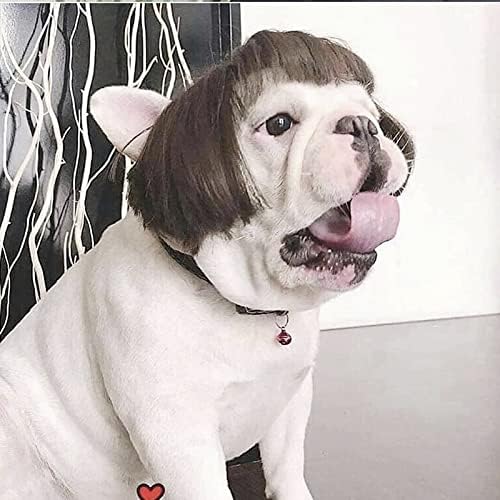 TESSVEYA Funny Dog Cat Cosplay Wig,Pet Wigs for Halloween, Christmas, Parties, Festivals, Dog Wigs for Small Medium and Large Dogs （Black Brown Straight）