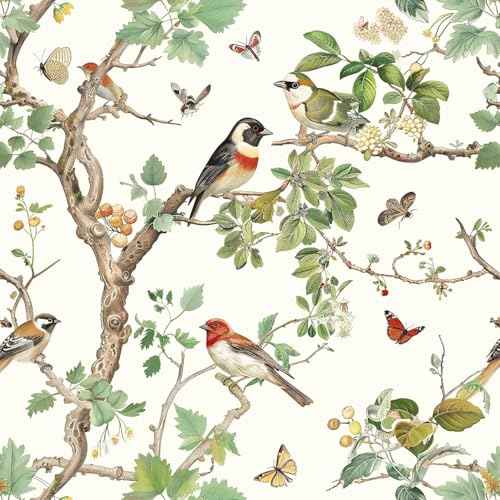 Vintage Bird Peel and Stick Wallpaper Floral Birds Contact Paper 16.9inch x 118.1inch Butterflies Leaf Wallpaper Peel and Stick Self Adhesive Removable Wall Paper for Bathroom Wall Decor