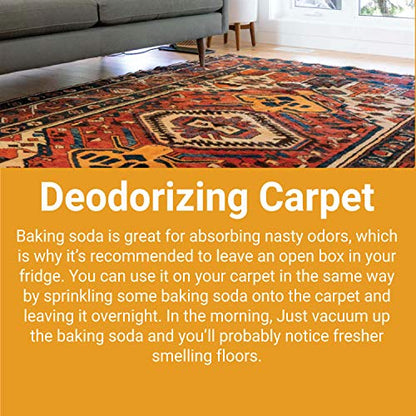 Arm & Hammer Fridge Fresh Refrigerator Air Filter