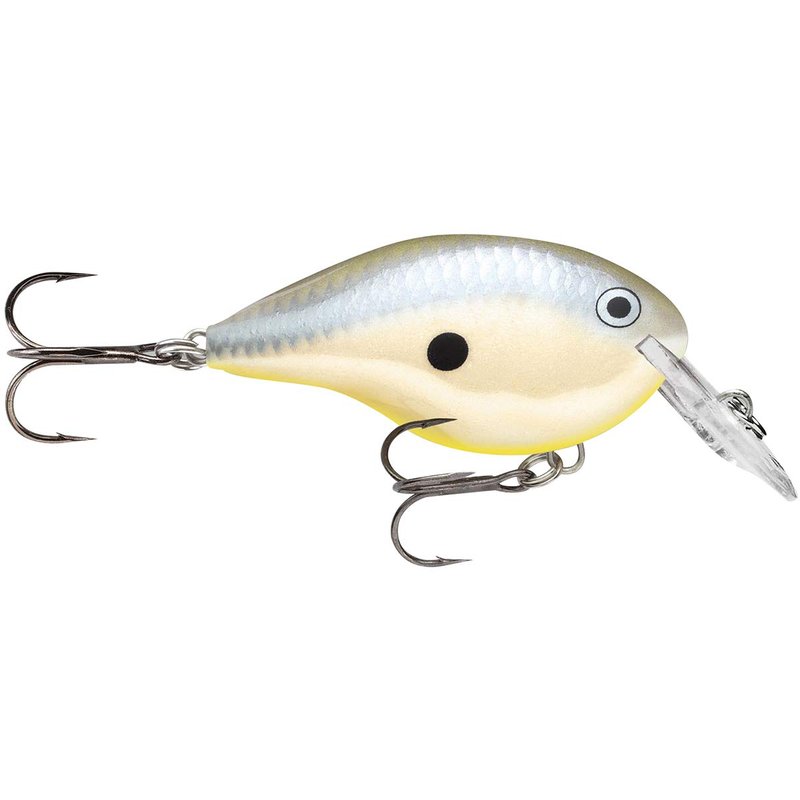 Rapala Dives-To Series Custom Ink Lure, Size 16, 2 3/4" Length, 16' Depth, 2 Number 3 Treble Hooks, Disco Shad, Per 1